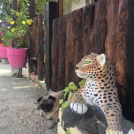 Hotel Hacienda La Catrina ホルボックス島 エクステリア 写真