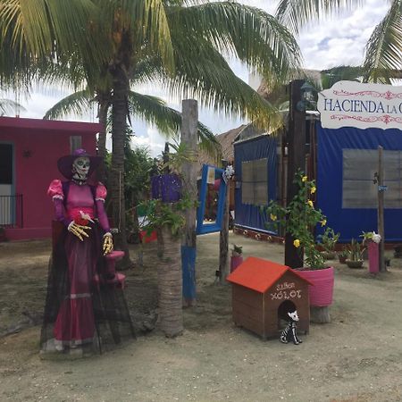Hotel Hacienda La Catrina ホルボックス島 エクステリア 写真