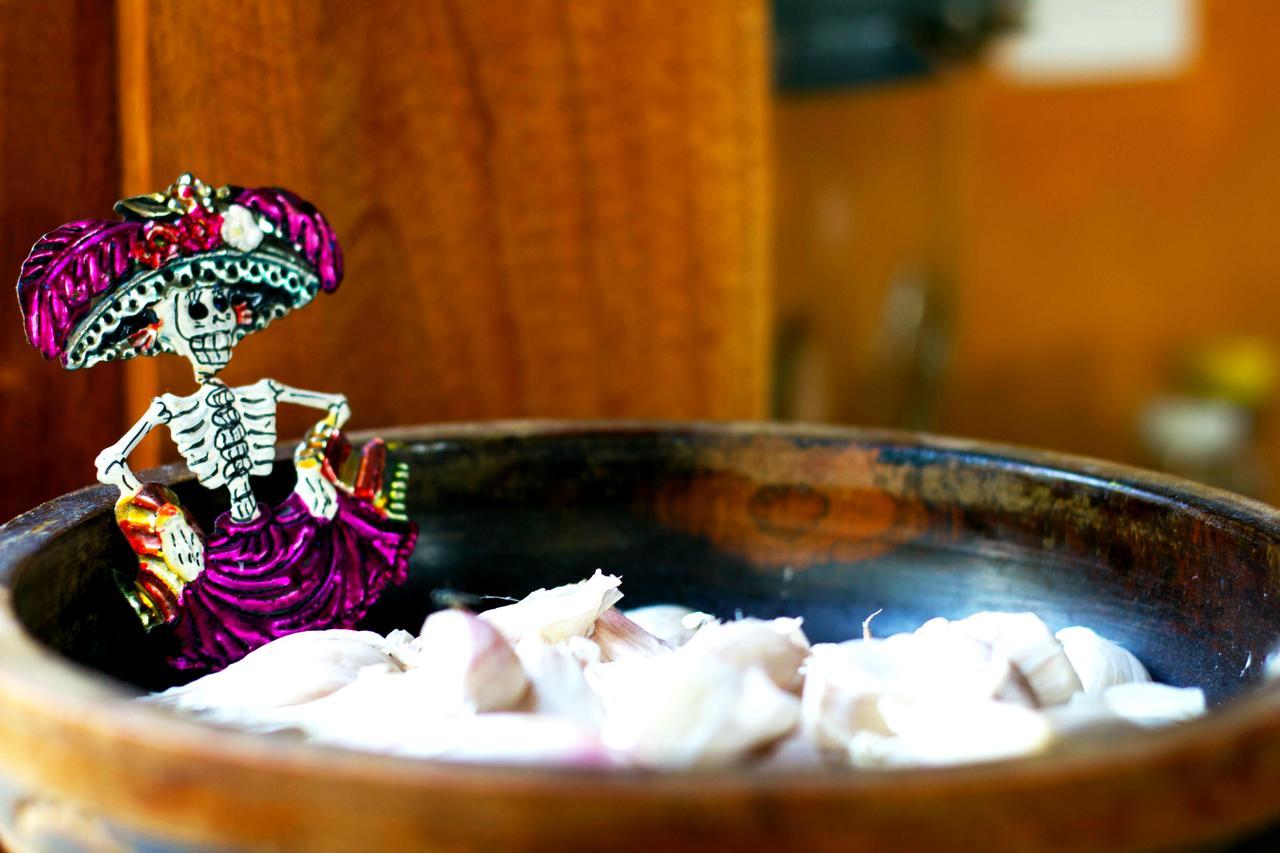 Hotel Hacienda La Catrina ホルボックス島 エクステリア 写真