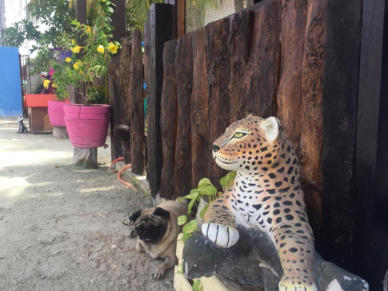 Hotel Hacienda La Catrina ホルボックス島 エクステリア 写真