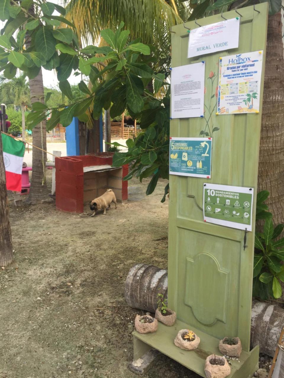 Hotel Hacienda La Catrina ホルボックス島 エクステリア 写真