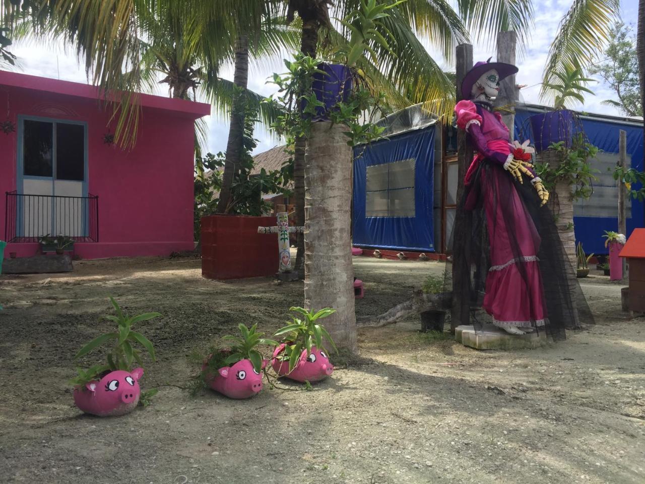 Hotel Hacienda La Catrina ホルボックス島 エクステリア 写真